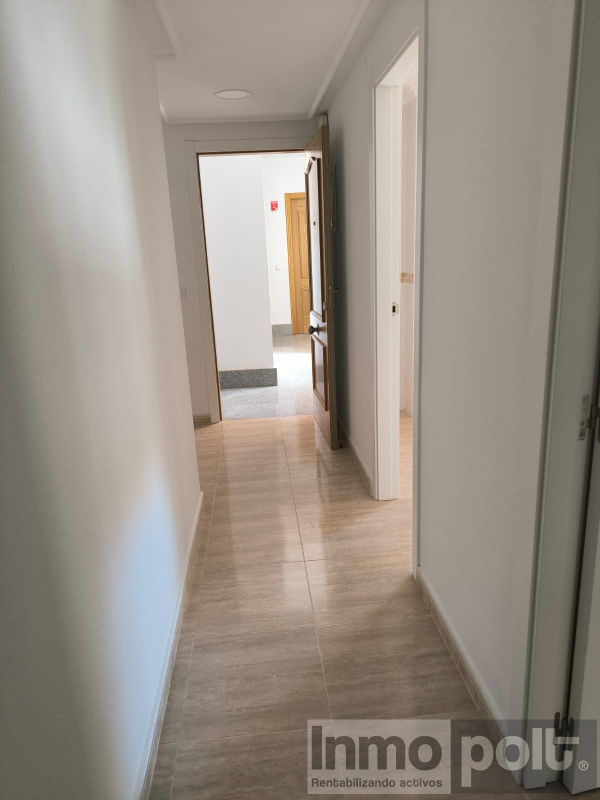 50063_WhatsApp Image 2026-02-17 at 10.08.41 (2).jpg